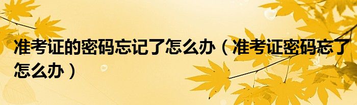 准考证的密码忘记了怎么办（准考证密码忘了怎么办）
