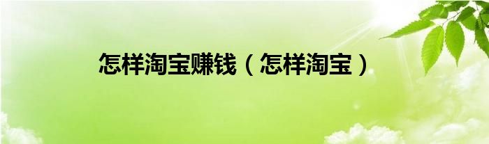 怎样淘宝赚钱（怎样淘宝）