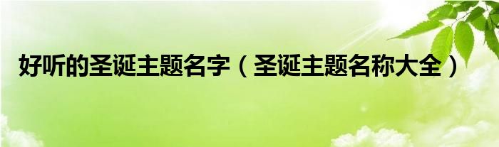 好听的圣诞主题名字（圣诞主题名称大全）
