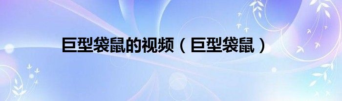 巨型袋鼠的视频（巨型袋鼠）