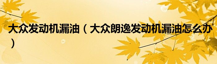 大众发动机漏油(大众朗逸发动机漏油怎么办)