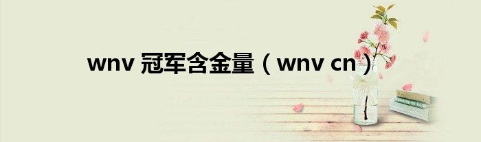 wnv 冠军含金量（wnv cn）
