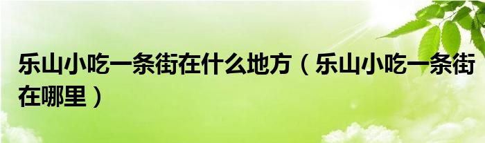 乐山小吃一条街在什么地方（乐山小吃一条街在哪里）