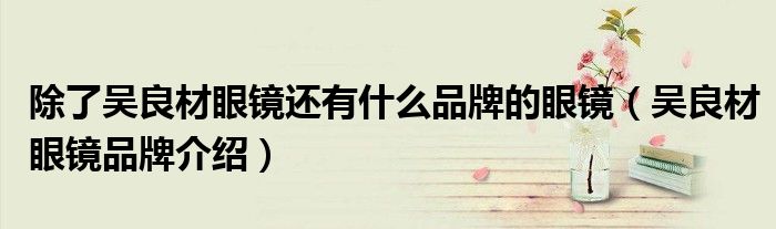 除了吴良材眼镜还有什么品牌的眼镜（吴良材眼镜品牌介绍）