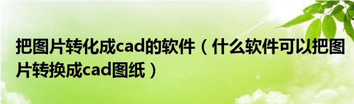 把图片转化成cad的软件(什么软件可以把图片转换成cad图纸)