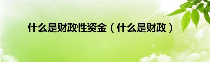 什么是财政性资金（什么是财政）