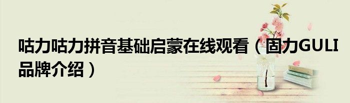 咕力咕力拼音基础启蒙在线观看(固力GULI品牌介绍)