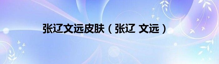 张辽文远皮肤（张辽 文远）
