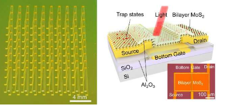 受视网膜启发的传感器可提供更自适应的视觉感知