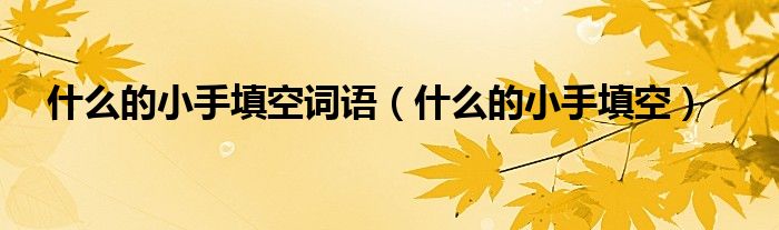 什么的小手填空词语(什么的小手填空)