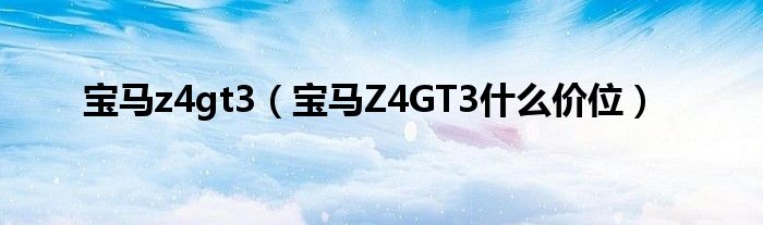 宝马z4gt3（宝马Z4GT3什么价位）